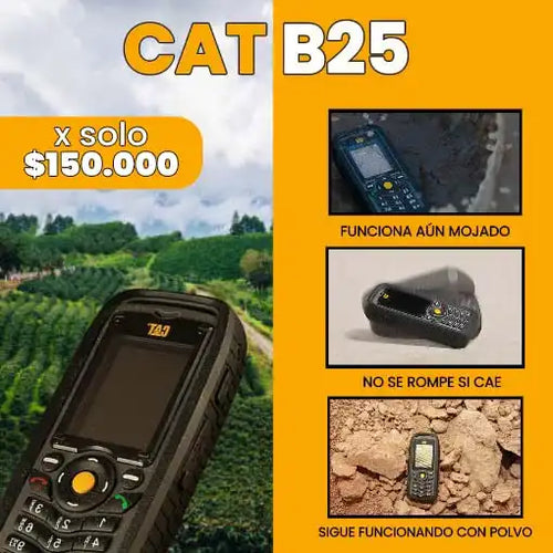 CELULAR CAT B25
